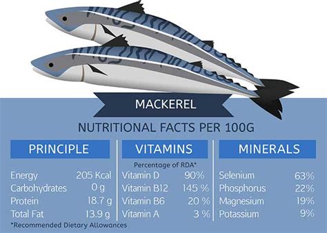 is mackerel high in omega 3|mackerel omega 3 per 100g.